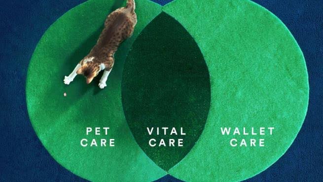 How To Cancel Petco Vital Care Membership