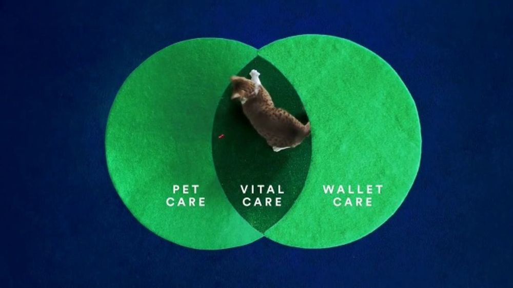 How To Cancel Petco Vital Care Membership